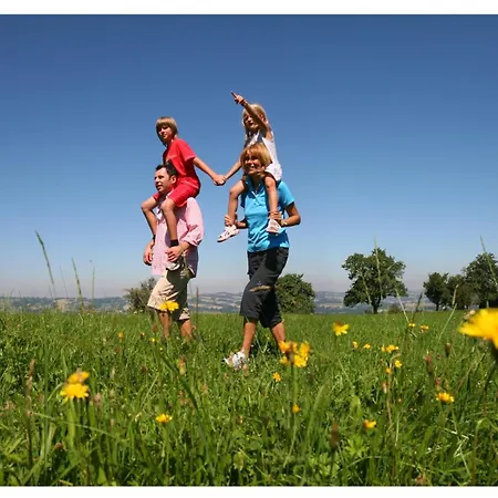 Pensión Gasthof-pension Zum Haugstein - Familie Eder 3*